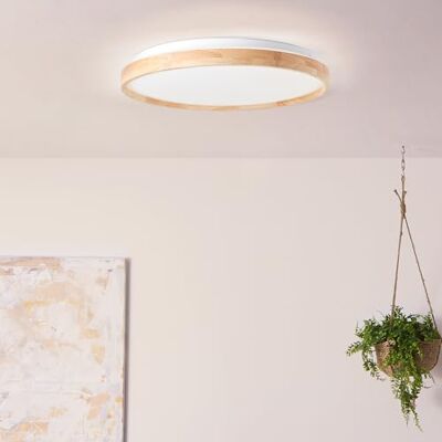 Lightbox LED Deckenlampe mit CCT & Nachtlicht & Timer Ø 50 cm flache LED Deckenlampe mit CCT & Nachtlicht & Timer Ø 50 cm flache Deckenleuchte dimmbar per Fernbedienung (max. 3300 lm) - Lightbox LED Deckenlampe mit CCT & Nachtlicht & Timer Ø 50 cm flache LED Deckenlampe mit CCT & Nachtlicht & Timer Ø 50 cm flache Deckenleuchte dimmbar per Fernbedienung (max. 3300 lm) -