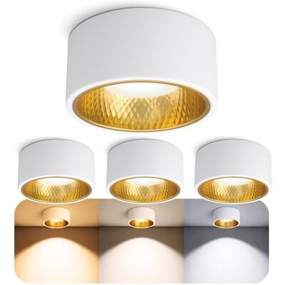 SSC-LUXon 4 Stück OLINO Deckenlampe weiß rund wechselbare Front gold + silber Aufbaustrahler warmweiß mit LED Lampe GX53 230V SSC-LUXon 4 Stück OLINO Deckenlampe weiß rund wechselbare Front gold + silber Aufbaustrahler warmweiß mit LED Lampe GX53 230V