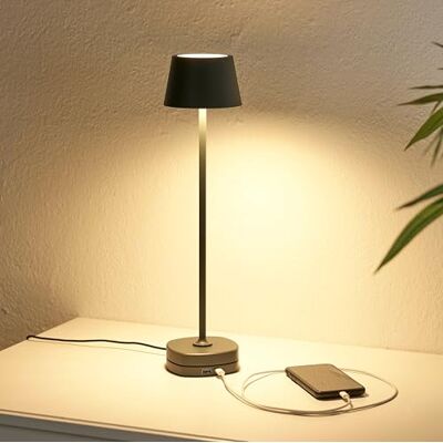 Northpoint LED Akku Tischlampe mit Ladestation max. 45cm hoch mit 3000mAh Akku 200lm warmweißes Licht (3000K) stufenlos dimmbar für Innen und Außen grau Northpoint LED Akku Tischlampe mit Ladestation max. 45cm hoch mit 3000mAh Akku 200lm warmweißes Licht (3000K) stufenlos dimmbar für Innen und Außen grau