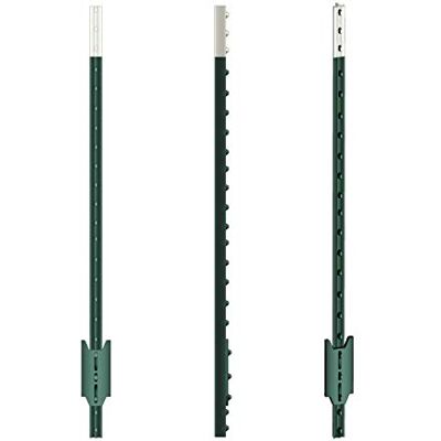 Voss T-Pfosten 152cm 10 Stück, Metallpfahl Festzaunsystem, Hochwertige Qualität Grün, T-Post, Zaunpfahl, Weidezaun Voss T-Pfosten 152cm 10 Stück, Metallpfahl Festzaunsystem, Hochwertige Qualität Grün, T-Post, Zaunpfahl, Weidezaun