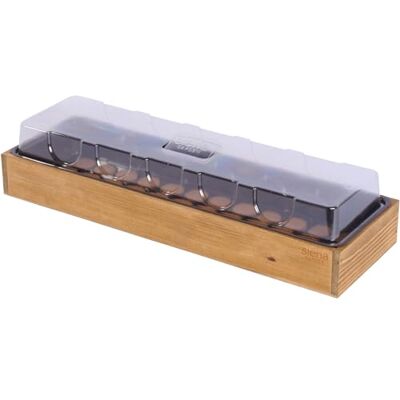 Siena Garden Anzuchtvollholzkiste mit 36 Quelltabs Siena Garden Anzuchtvollholzkiste mit 36 Quelltabs