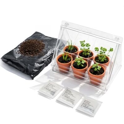 com-four ® 6X Mini Tontöpfe mit Saatgut und Anzuchterde Zimmergewächshaus für Basilikum, Petersilie und Schnittlauch Anzuchtset/Anzuchtkasten/Kräutergarten (Anzuchtset 10) com-four ® 6X Mini Tontöpfe mit Saatgut und Anzuchterde Zimmergewächshaus für Basilikum, Petersilie und Schnittlauch Anzuchtset/Anzuchtkasten/Kräutergarten (Anzuchtset 10)