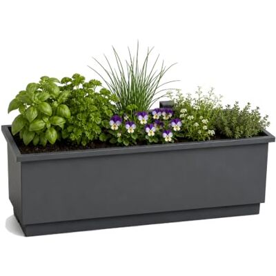 casa pura Balkonkasten Viola aus verzinktem Stahl – Metall-Blumenkasten mit herausnehmbarer Auffangschale & Ablauföffnungen – für Balkon, Geländer & Terrasse – Anthrazit casa pura Balkonkasten Viola aus verzinktem Stahl – Metall-Blumenkasten mit herausnehmbarer Auffangschale & Ablauföffnungen – für Balkon, Geländer & Terrasse – Anthrazit