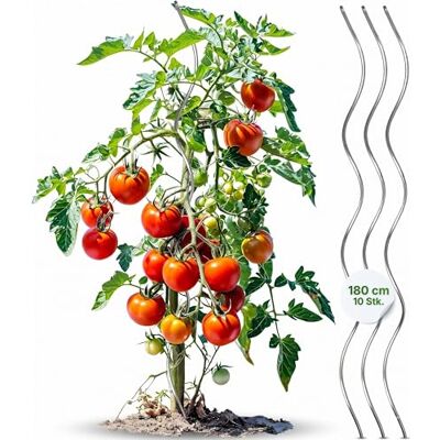 Gartenwelt Riegelsberger Tomatenspirale 180 cm – 10 Stück Tomatenstäbe aus Stahl Ø 5,6 mm, stabile Pflanzenstütze für Tomaten & Kletterpflanzen, wetterfest für Garten & Gewächshaus Gartenwelt Riegelsberger Tomatenspirale 180 cm – 10 Stück Tomatenstäbe aus Stahl Ø 5,6 mm, stabile Pflanzenstütze für Tomaten & Kletterpflanzen, wetterfest für Garten & Gewächshaus