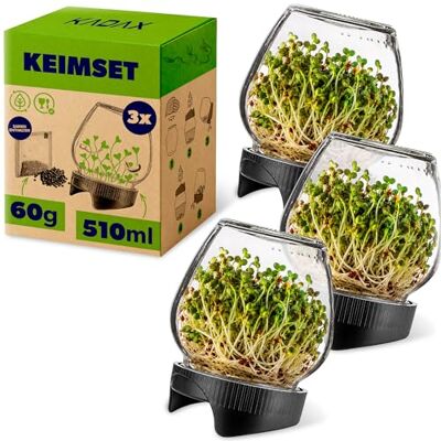 KADAX Sprossengläser 510 ml, 3er Set, Keimgläser mit Siebdeckel Ø 82 mm, Sprossen Anzuchtset, Anzuchtgläser für Brokkolisprossen, Sprossenset, inkl. Radieschensamen KADAX Sprossengläser 510 ml, 3er Set, Keimgläser mit Siebdeckel Ø 82 mm, Sprossen Anzuchtset, Anzuchtgläser für Brokkolisprossen, Sprossenset, inkl. Radieschensamen