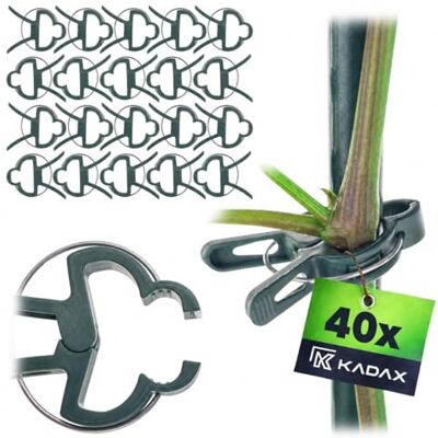 KADAX Pflanzenclips 6 x 5 cm, 40er Set, Pflanzen Clips für Kletterpflanzen, Pflanzenklammern, Tomaten Rankhilfe, Tomatenclips, Zubehör für Garten & Gewächshaus KADAX Pflanzenclips 6 x 5 cm, 40er Set, Pflanzen Clips für Kletterpflanzen, Pflanzenklammern, Tomaten Rankhilfe, Tomatenclips, Zubehör für Garten & Gewächshaus