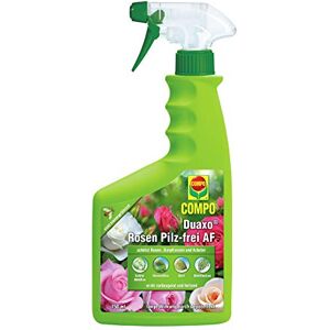 Compo Duaxo Rosen Pilz-frei AF, Bekämpfung von Pilzkrankheiten an Rosen, Zierpflanzen und Kräutern, Anwendungsfertige Handsprühflasche, 750 ml Compo Duaxo Rosen Pilz-frei AF, Bekämpfung von Pilzkrankheiten an Rosen, Zierpflanzen und Kräutern, Anwendungsfertige Handsprühflasche, 750 ml