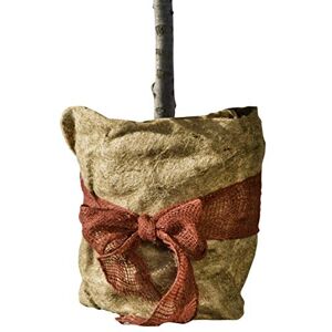 Windhager Jute Winterschutz Vliesmatte ÖKO, Thermovlies, Kälteschutz Pflanztopf, Frostschutz für Pflanzen, 300 g/m², 0,5 x 4 m, 07521 Windhager Jute Winterschutz Vliesmatte ÖKO, Thermovlies, Kälteschutz Pflanztopf, Frostschutz für Pflanzen, 300 g/m², 0,5 x 4 m, 07521