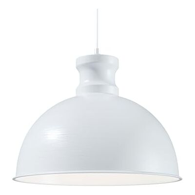 Bio Green Pflanzenleuchte FLORABOOSTER 500 Weiß LED Vollspektrum Maximales Wachstum Gewächshauslampe Grow Light für Gemüse- & Zimmerpflanzen Bio Green Pflanzenleuchte FLORABOOSTER 500 Weiß LED Vollspektrum Maximales Wachstum Gewächshauslampe Grow Light für Gemüse- & Zimmerpflanzen