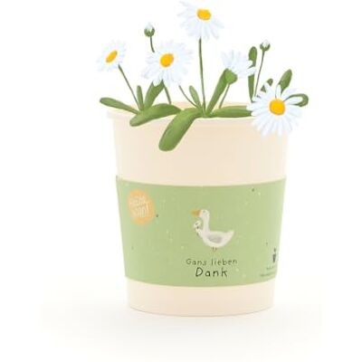 Die Stadtgärtner Gänseblümchen-Anzuchtset als Dankeschön-Geschenk Umweltfreundlicher Anzuchtbecher mit Saatgut, Kokos-Quelltablette & Anleitung Nachhaltige Geschenkidee für Dankeschön, Abschied & Wertschätzung Die Stadtgärtner Gänseblümchen-Anzuchtset als Dankeschön-Geschenk Umweltfreundlicher Anzuchtbecher mit Saatgut, Kokos-Quelltablette & Anleitung Nachhaltige Geschenkidee für Dankeschön, Abschied & Wertschätzung
