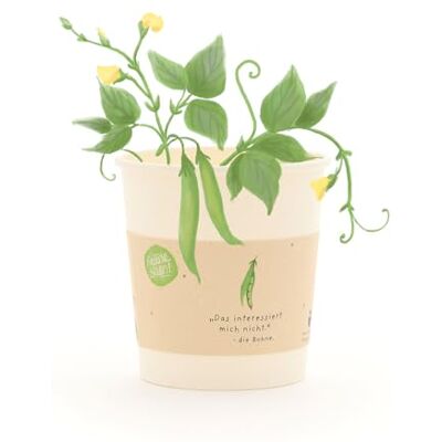 Die Stadtgärtner Bohnen-Anzuchtset als lustiges Geschenk Umweltfreundlicher Anzuchtbecher mit Stangenbohnen-Saatgut, Kokos-Quelltablette & Anleitung Nachhaltige Geschenkidee für Aufmunterung & als Spaßgeschenk Die Stadtgärtner Bohnen-Anzuchtset als lustiges Geschenk Umweltfreundlicher Anzuchtbecher mit Stangenbohnen-Saatgut, Kokos-Quelltablette & Anleitung Nachhaltige Geschenkidee für Aufmunterung & als Spaßgeschenk