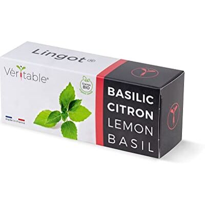 Véritable Lingot (Neuartige Aromatische Kräuter, Bio-Zitronen-Basilikum) Véritable Lingot (Neuartige Aromatische Kräuter, Bio-Zitronen-Basilikum)