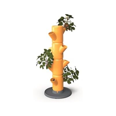 GUSTA GARDEN Sissi Strawberry Erdbeerbaum Starter Honey Hochbeet System Erdbeeren mit Standfuß für Garten & Balkon 77cm Höhe 10L Erdvolumen GUSTA GARDEN Sissi Strawberry Erdbeerbaum Starter Honey Hochbeet System Erdbeeren mit Standfuß für Garten & Balkon 77cm Höhe 10L Erdvolumen