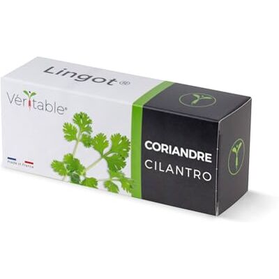 Véritable Lingot® ® (Klassische Aromatische Kräuter, Koriander) Véritable Lingot® ® (Klassische Aromatische Kräuter, Koriander)