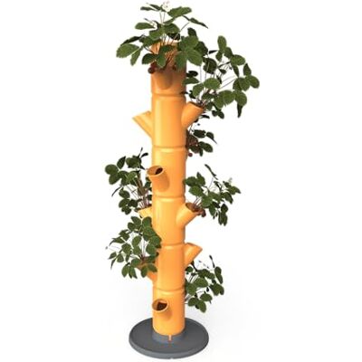 GUSTA GARDEN Sissy Strawberry Erdbeerbaum Classic Honey Hochbeet System Erdbeeren mit Wandhalterung Garten & Balkon 113 cm 15L Erdvolumen GUSTA GARDEN Sissy Strawberry Erdbeerbaum Classic Honey Hochbeet System Erdbeeren mit Wandhalterung Garten & Balkon 113 cm 15L Erdvolumen