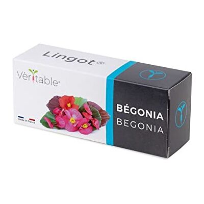 Véritable Lingot® Begonie – kompatibel mit echten Indoor-Gemüsebeeten und Exky® – gebrauchsfertige Nachfüllpackung – Substrat mit integrierten Samen.. Véritable Lingot® Begonie – kompatibel mit echten Indoor-Gemüsebeeten und Exky® – gebrauchsfertige Nachfüllpackung – Substrat mit integrierten Samen..