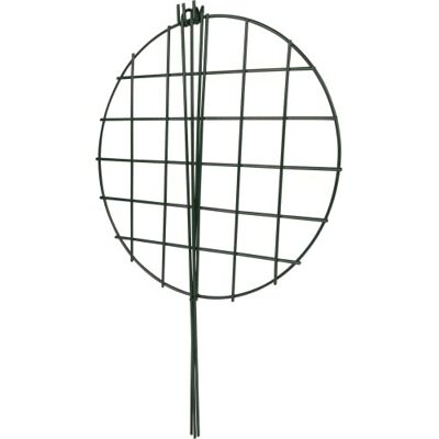 Windhager Blumen Stützgitter, DM:35x60cm,grün Windhager Blumen Stützgitter, DM:35x60cm,grün