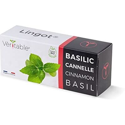 Véritable ® Kollektion von Lingots® (Klassiker aromatische Kräuter, Originelle aromatische Kräuter & Blattgemüse) (Originelle Aromatische Kräuter, Zimt Basilikum Bio) Véritable ® Kollektion von Lingots® (Klassiker aromatische Kräuter, Originelle aromatische Kräuter & Blattgemüse) (Originelle Aromatische Kräuter, Zimt Basilikum Bio)