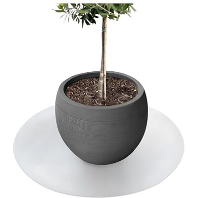 KARAT Untersetzer für Blumentopf, Blumenuntersetzer mit abgeschrägter Kante, Unterlage für Pflanztöpfe, Schutzmatte, Bodenschutzmatte, Blumentopfuntersetzer (Majesty) (Transparent, Rund 90 cm) KARAT Untersetzer für Blumentopf, Blumenuntersetzer mit abgeschrägter Kante, Unterlage für Pflanztöpfe, Schutzmatte, Bodenschutzmatte, Blumentopfuntersetzer (Majesty) (Transparent, Rund 90 cm)