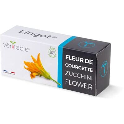 Véritable ® Lingot® Zucchiniblüten Bio Kompatibel mit Indoor-Garten und Exky® Gebrauchsfertige Nachfüllung Substrat mit integrierten Samen Véritable ® Lingot® Zucchiniblüten Bio Kompatibel mit Indoor-Garten und Exky® Gebrauchsfertige Nachfüllung Substrat mit integrierten Samen