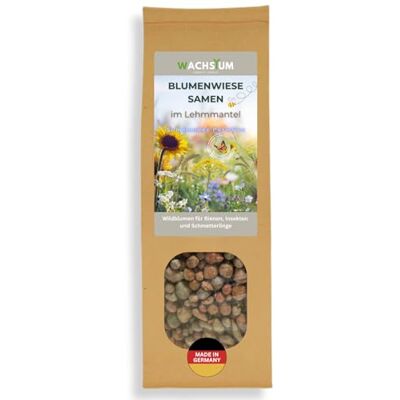WACHSTUM THROW IT-GROW IT! Blumensamen im schützenden Lehmmantel für Bienen und Schmetterlinge 400g. Mehrjährig & winterhart, Summendes Paradies für 30 m².Wunderschöne Wildblumen Saatgut für bunte Bienenweide. Geschenk Kinder WACHSTUM THROW IT-GROW IT! Blumensamen im schützenden Lehmmantel für Bienen und Schmetterlinge 400g. Mehrjährig & winterhart, Summendes Paradies für 30 m².Wunderschöne Wildblumen Saatgut für bunte Bienenweide. Geschenk Kinder
