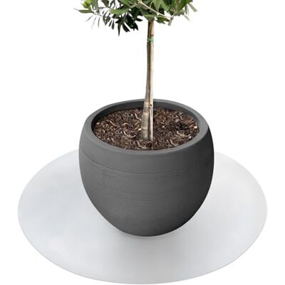 KARAT Untersetzer für Blumentopf, Blumenuntersetzer mit abgeschrägter Kante, Unterlage für Pflanztöpfe, Schutzmatte, Bodenschutzmatte, Blumentopfuntersetzer (Majesty) (Hellgrau, Rund 90 cm) KARAT Untersetzer für Blumentopf, Blumenuntersetzer mit abgeschrägter Kante, Unterlage für Pflanztöpfe, Schutzmatte, Bodenschutzmatte, Blumentopfuntersetzer (Majesty) (Hellgrau, Rund 90 cm)