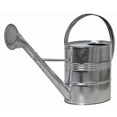 Siena Garden Gießkanne 10L, Blumengießer, verzinkt, 395240, Silber Siena Garden Gießkanne 10L, Blumengießer, verzinkt, 395240, Silber