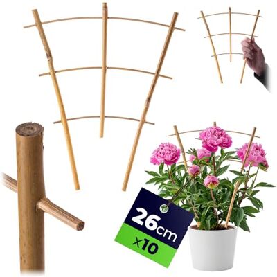 KADAX Rankgitter aus Bambus, 26 x 23 cm, 10er Set, Rankhilfe für Pflanzen, Pflanzengitter, Kletterhilfe & Pflanzstütze für Zimmerpflanzen & Kletterpflanzen KADAX Rankgitter aus Bambus, 26 x 23 cm, 10er Set, Rankhilfe für Pflanzen, Pflanzengitter, Kletterhilfe & Pflanzstütze für Zimmerpflanzen & Kletterpflanzen