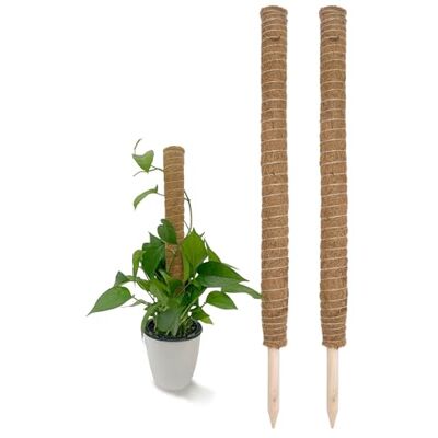 Spetebo Kokos Rankstab 110 cm Natur 2 Stück Pflanzstab für Zimmerpflanzen – Blumen Pflanz Stab Topf Rankhilfe Kletterhilfe Kokosstange für Kletterpflanzen Spetebo Kokos Rankstab 110 cm Natur 2 Stück Pflanzstab für Zimmerpflanzen – Blumen Pflanz Stab Topf Rankhilfe Kletterhilfe Kokosstange für Kletterpflanzen