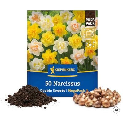 Kiepenkerl Narzissenzwiebeln "Double Sweets" 2000058, Mega-Pack Gefüllte Blüten, für Kübel, Topf, Beet & Balkon, als Schnittblume, Narzisse Blumenzwiebeln, Inhalt für 50 Pflanzen Kiepenkerl Narzissenzwiebeln "Double Sweets" 2000058, Mega-Pack Gefüllte Blüten, für Kübel, Topf, Beet & Balkon, als Schnittblume, Narzisse Blumenzwiebeln, Inhalt für 50 Pflanzen