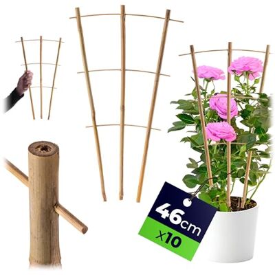 KADAX Rankgitter aus Bambus, 46 x 27 cm, 10er Set, Rankhilfe für Pflanzen, Pflanzengitter, Kletterhilfe & Pflanzstütze für Zimmerpflanzen & Kletterpflanzen KADAX Rankgitter aus Bambus, 46 x 27 cm, 10er Set, Rankhilfe für Pflanzen, Pflanzengitter, Kletterhilfe & Pflanzstütze für Zimmerpflanzen & Kletterpflanzen