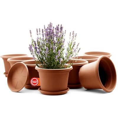 BigDean 8X Blumentopf mit Untersetzer rund ø 25 cm Terrakotta wetterfest wetterfester Pflanzkübel Made in Europe BigDean 8X Blumentopf mit Untersetzer rund ø 25 cm Terrakotta wetterfest wetterfester Pflanzkübel Made in Europe
