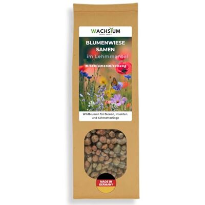 WACHSTUM THROW IT-GROW IT! Blumensamen im schützenden Lehmmantel für Bienen und Schmetterlinge 400g. Mehrjährig & winterhart, Wildblumenmischung für 20 m². Wunderschöne Wildblumen Saatgut für bunte Bienenweide. Geschenk Kinder WACHSTUM THROW IT-GROW IT! Blumensamen im schützenden Lehmmantel für Bienen und Schmetterlinge 400g. Mehrjährig & winterhart, Wildblumenmischung für 20 m². Wunderschöne Wildblumen Saatgut für bunte Bienenweide. Geschenk Kinder