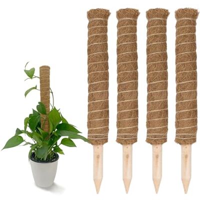 Spetebo Kokos Rankstab 40 cm Natur 4 Stück Pflanzstab für Zimmerpflanzen – Blumen Pflanz Stab Topf Rankhilfe Kletterhilfe Kokosstange für Kletterpflanzen Spetebo Kokos Rankstab 40 cm Natur 4 Stück Pflanzstab für Zimmerpflanzen – Blumen Pflanz Stab Topf Rankhilfe Kletterhilfe Kokosstange für Kletterpflanzen