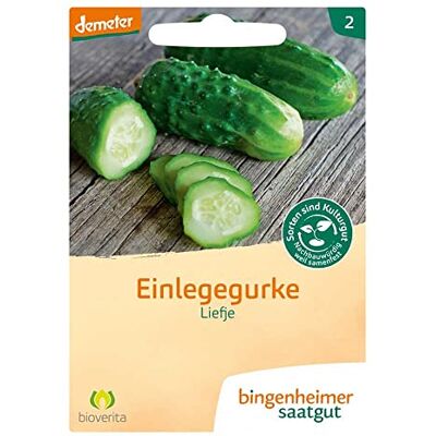 Bingenheimer Saatgut Bingenheimer Einlegegurke, Liefje (1) Bingenheimer Saatgut Bingenheimer Einlegegurke, Liefje (1)