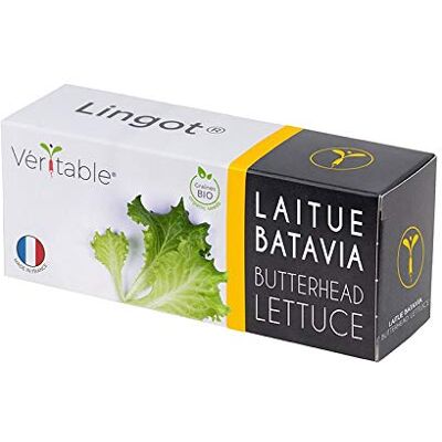 Véritable ® Kollektion von Lingots® (Klassiker aromatische Kräuter, Originelle aromatische Kräuter & Blattgemüse) (Blattgemüse, Kopfsalat Bio) Véritable ® Kollektion von Lingots® (Klassiker aromatische Kräuter, Originelle aromatische Kräuter & Blattgemüse) (Blattgemüse, Kopfsalat Bio)