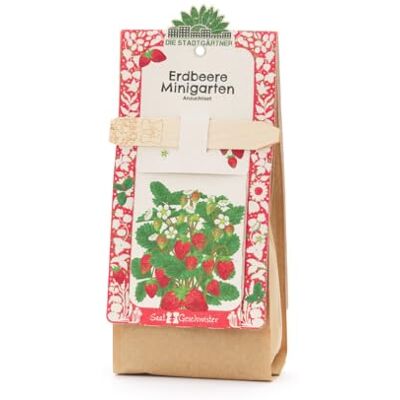 Die Stadtgärtner Erdbeere Anzuchtset Starter-Komplettset mit Saatgut Erdbeere, Anzuchterde & Pflanzgefäß Perfekt als besonderes Geschenk, Mitgebsel und Aufmerksamkeit Die Stadtgärtner Erdbeere Anzuchtset Starter-Komplettset mit Saatgut Erdbeere, Anzuchterde & Pflanzgefäß Perfekt als besonderes Geschenk, Mitgebsel und Aufmerksamkeit
