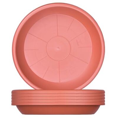 BigDean 6X Blumentopf Untersetzer Ø 19 cm Terrakotta für Ø 20 cm Töpfe Kunststoff Blumenuntersetzer rund, Stabile Blumentopfuntersetzer, Robust & Langlebig, UV Beständig, Wetterfest BigDean 6X Blumentopf Untersetzer Ø 19 cm Terrakotta für Ø 20 cm Töpfe Kunststoff Blumenuntersetzer rund, Stabile Blumentopfuntersetzer, Robust & Langlebig, UV Beständig, Wetterfest