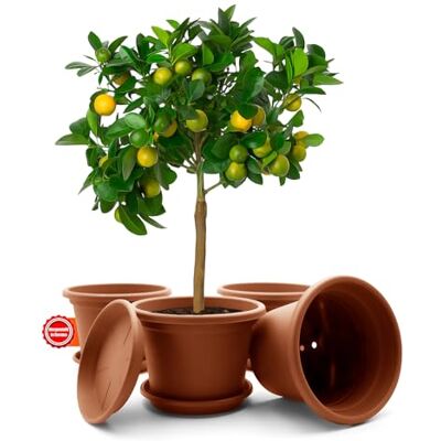BigDean 4X Blumentopf mit Untersetzer rund ø 35 cm Terracotta wetterfest wetterfester Pflanzkübel Made in Europe BigDean 4X Blumentopf mit Untersetzer rund ø 35 cm Terracotta wetterfest wetterfester Pflanzkübel Made in Europe