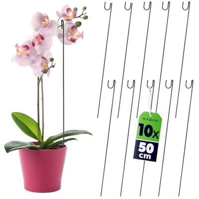 KADAX 10er Set Blumenstütze, Pflanzenstütze aus Stahl, Höhe: 50 cm, dekorative Stützstäbe für Orchideen, Blumen, Pflanzen, Zimmerpflanzen, Blumentopf, Rankhilfe, Rankstäbe (gerade) KADAX 10er Set Blumenstütze, Pflanzenstütze aus Stahl, Höhe: 50 cm, dekorative Stützstäbe für Orchideen, Blumen, Pflanzen, Zimmerpflanzen, Blumentopf, Rankhilfe, Rankstäbe (gerade)
