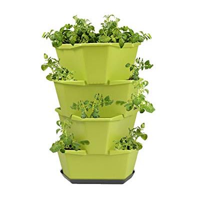 GUSTA GARDEN Paul Potato Starter Kartoffelturm stapelbar Hochbeet/Pflanzgefäß/Blumentopf für Balkon, Garten und Terrasse (4 Etagen, Grün) inkl. Untersetzer GUSTA GARDEN Paul Potato Starter Kartoffelturm stapelbar Hochbeet/Pflanzgefäß/Blumentopf für Balkon, Garten und Terrasse (4 Etagen, Grün) inkl. Untersetzer