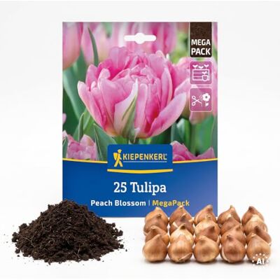 Kiepenkerl Tulpenzwiebeln "Peach Blossom" 2000061, Mega-Pack Gefüllte und frühblühende Blüten, Inhalt für 25 Pflanzen, für Balkon, Beet, Kübel und Topf, winterhart, einjährig Kiepenkerl Tulpenzwiebeln "Peach Blossom" 2000061, Mega-Pack Gefüllte und frühblühende Blüten, Inhalt für 25 Pflanzen, für Balkon, Beet, Kübel und Topf, winterhart, einjährig