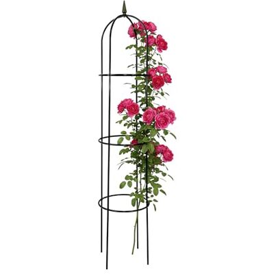 Spetebo Metall Rankhilfe 200 x 40 cm Rosensäule Rosenbogen Rankgitter Rank Obelisk Rosengestell Rankturm Spetebo Metall Rankhilfe 200 x 40 cm Rosensäule Rosenbogen Rankgitter Rank Obelisk Rosengestell Rankturm
