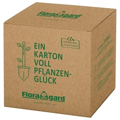 Floragard Bio Hochbeet-Erde 60 L – torfreduzierte, lockere Gemüseerde mit hoher Wasserspeicherung – nährstoffreiche Basis für Starke Wurzeln & kräftiges Wachstum – in der praktischen Box Floragard Bio Hochbeet-Erde 60 L – torfreduzierte, lockere Gemüseerde mit hoher Wasserspeicherung – nährstoffreiche Basis für Starke Wurzeln & kräftiges Wachstum – in der praktischen Box