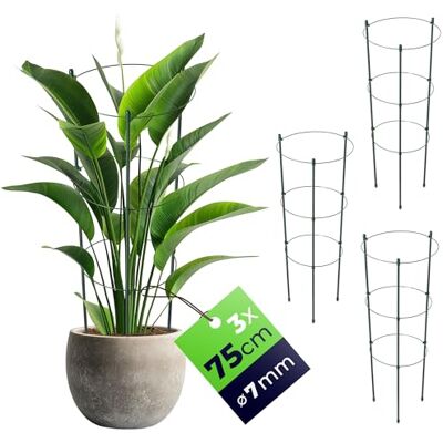 KADAX Rankhilfe für Pflanzen, 75cm, 3er Set, Pflanzenstütze aus Stahl, Blumenstütze, Pflanzenhalter, Rankgitter für Kletterpflanzen im Garten oder Blumentopf, Rankturm für Tomaten KADAX Rankhilfe für Pflanzen, 75cm, 3er Set, Pflanzenstütze aus Stahl, Blumenstütze, Pflanzenhalter, Rankgitter für Kletterpflanzen im Garten oder Blumentopf, Rankturm für Tomaten