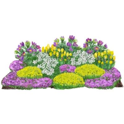 Dehner Bio Stauden-Set Alpenliebe, Landlust Kollektion, 18 Pflanzen für sonnige Standorte, je 2-15 cm exkl. Pflanztopf, Ø Topf je 9 cm, lila/weiß/gelb/pink Dehner Bio Stauden-Set Alpenliebe, Landlust Kollektion, 18 Pflanzen für sonnige Standorte, je 2-15 cm exkl. Pflanztopf, Ø Topf je 9 cm, lila/weiß/gelb/pink