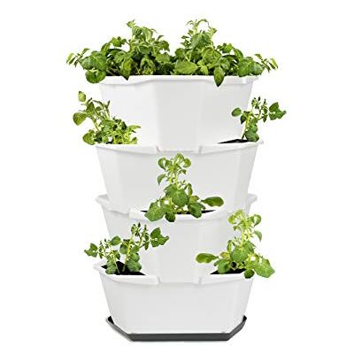 GUSTA GARDEN Paul Potato Starter Kartoffelturm stapelbar Hochbeet/Pflanzgefäß/Blumentopf für Balkon, Garten und Terrasse (4 Etagen, Weiß) inkl. Untersetzer GUSTA GARDEN Paul Potato Starter Kartoffelturm stapelbar Hochbeet/Pflanzgefäß/Blumentopf für Balkon, Garten und Terrasse (4 Etagen, Weiß) inkl. Untersetzer