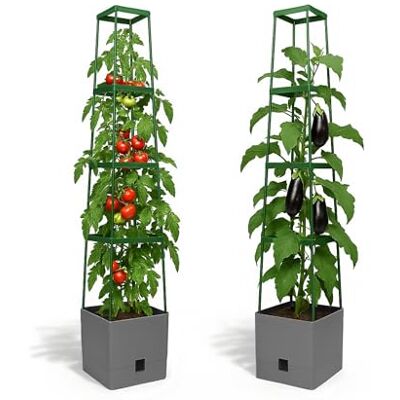 Bio Green Hochbeet Tomaten-Pflanzkästen mit Spalier, selbstbewässernder Pflanzkasten MAXITOM, 24,9 x 152,4 cm, für Tomaten, Ranken, Gemüse, Indoor/Outdoor, 2 Stück, Anthrazit/Grau Bio Green Hochbeet Tomaten-Pflanzkästen mit Spalier, selbstbewässernder Pflanzkasten MAXITOM, 24,9 x 152,4 cm, für Tomaten, Ranken, Gemüse, Indoor/Outdoor, 2 Stück, Anthrazit/Grau