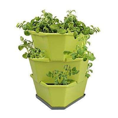 GUSTA GARDEN Paul Potato Starter Kartoffelturm stapelbar Hochbeet/Pflanzgefäß/Blumentopf für Balkon, Garten und Terrasse (3 Etagen, Grün) inkl. Untersetzer GUSTA GARDEN Paul Potato Starter Kartoffelturm stapelbar Hochbeet/Pflanzgefäß/Blumentopf für Balkon, Garten und Terrasse (3 Etagen, Grün) inkl. Untersetzer