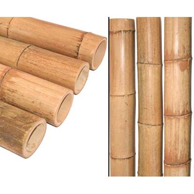 bambus-discount.com 1 Stück Bambusrohr Moso 100cm, Durchmesser 9,8-12cm, gelbbraun naturfarben XL, hitzebehandelt, gedämpft bambus-discount.com 1 Stück Bambusrohr Moso 100cm, Durchmesser 9,8-12cm, gelbbraun naturfarben XL, hitzebehandelt, gedämpft
